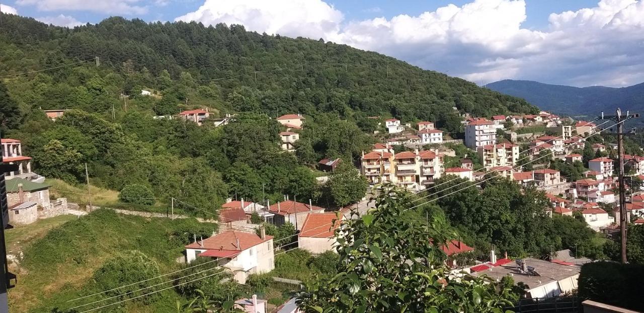Το Σπίτι Της Ευτυχίας Σουίτα Apartment Karpenísion Exterior foto